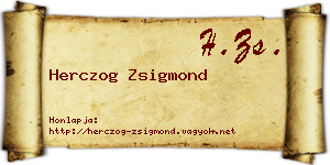Herczog Zsigmond névjegykártya